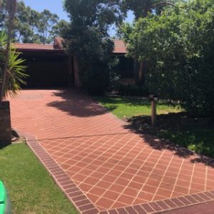 fallback-no-image-4435